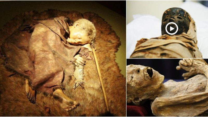 Is a Four-Year-Old Laredo Child’s Mother a Neanderthal/Human Hybrid? Experts Uncover Mysterious Clues