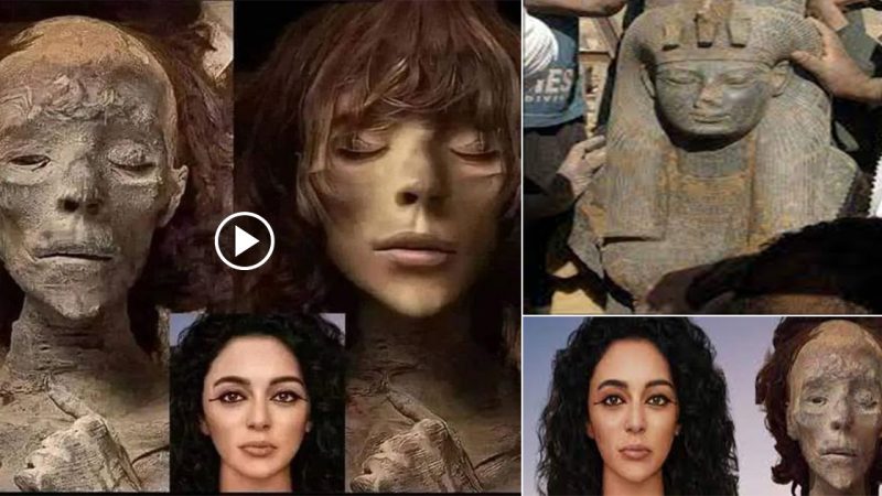 Based on the mummy of Queen Tiye, who died in 1338 BC and was the grandmother of Tutankhamun and Akhenaten, a face reconstruction of hers was created.