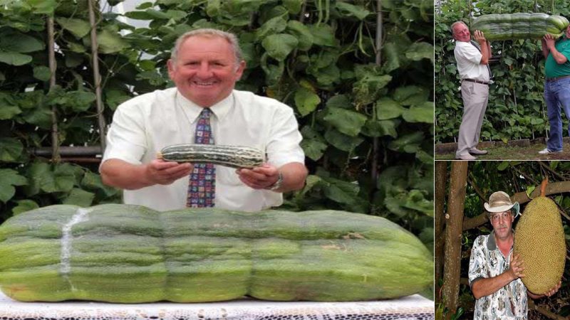 Huge collection of vegetables, tubers and fruits