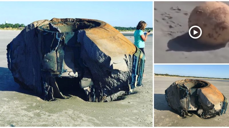 A UFO-like object washed ashore on the US shoreline (Video)