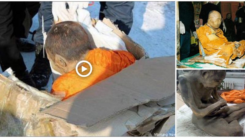 People all across the world were startled and delighted by the discovery of a 200-year-old “alive” mummy of a Mongolian monk.