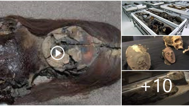 7,000-year-old Chilean mummies added to World Heritage List