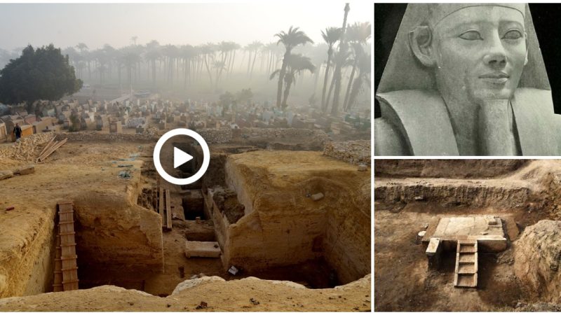 Discovery of 800 Egyptian Tombs in Middle Kingdom Necropolis