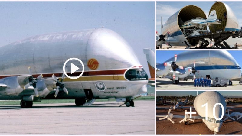 NASA aircraft are loaded onto super-sized transport aircraft with unique design