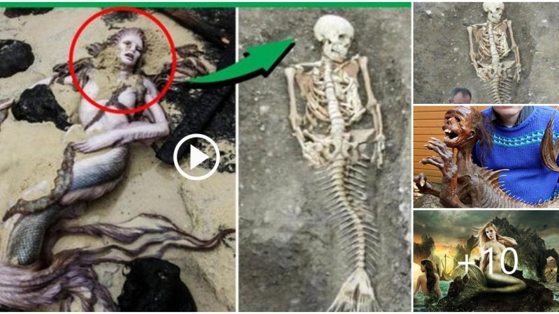 Archaeologists unearth mermaid bones in Iceland, finally solving centuries-old mystery