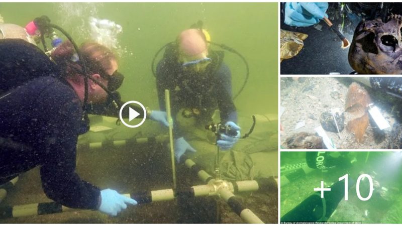 7,000-year-old Native American burial site found off Florida