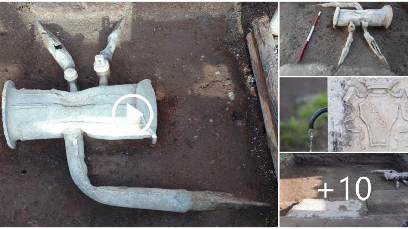 A team of archaeologists in southern Italy recently uncovered a perfectly preserved, decorated lead water tank that was part of the Villa Arianna’s state-of-the-art water supply system