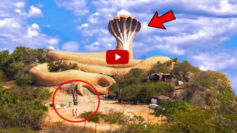 In India, a Thrilling Story When the most ferocious five-headed snake on the planet defends this miraculous Shiva temple (Video)