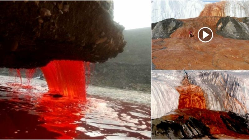 Strange Blood Falls (Antarctica), with crimson water continually spilling into the river like blood.