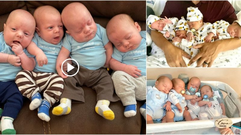 A couple yearns for a child, but exceeds their expectations when they give birth to quadruplets.