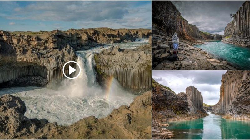 Natural stone pillars can be found in ice and fire zones in Iceland.