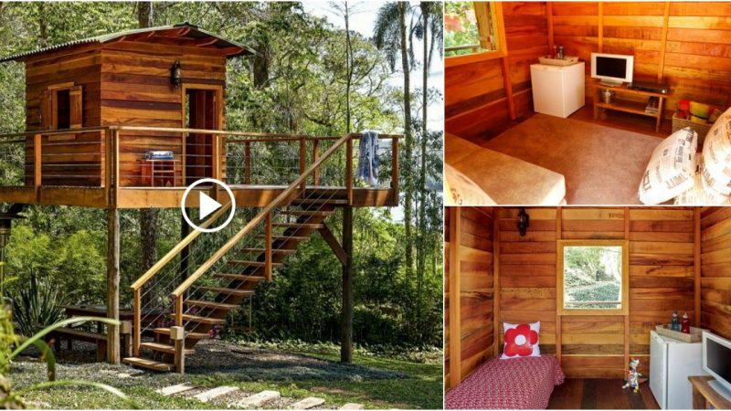 “A peaceful corner: Find peace in a small wooden stilt house in the middle of the forest”