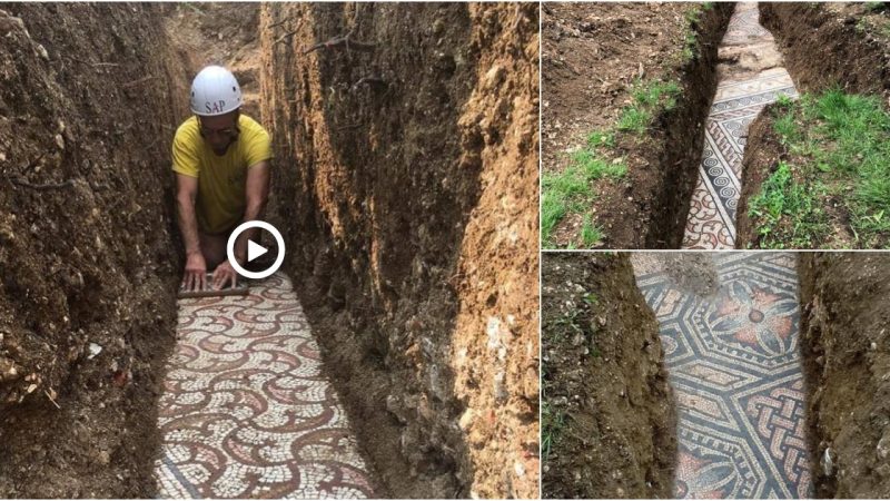 Magnificent Ancient Roman Mosaic Floor Unearthed in Verona, Italy