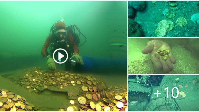 Sunken Riches: Discovering Treasure Troves of Gold Coins Beneath the Waves