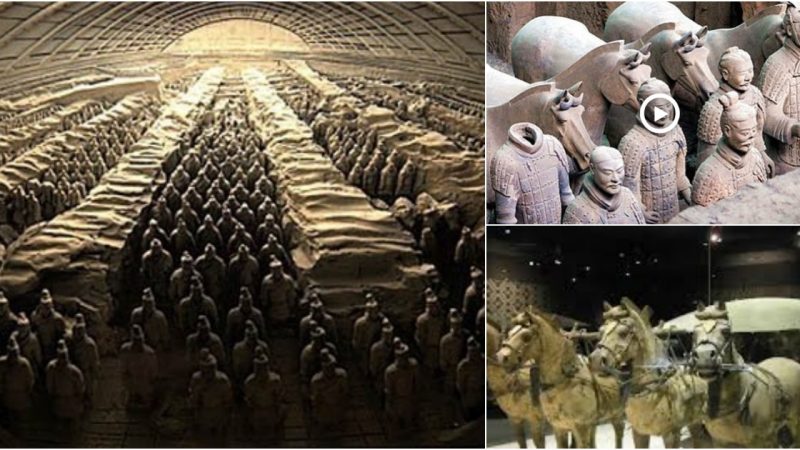 The terracotta warriors and horses were buried with Qin Shihuang, the first emperor who unified the country in Chinese history, and are considered one of the greatest archaeological discoveries in the world