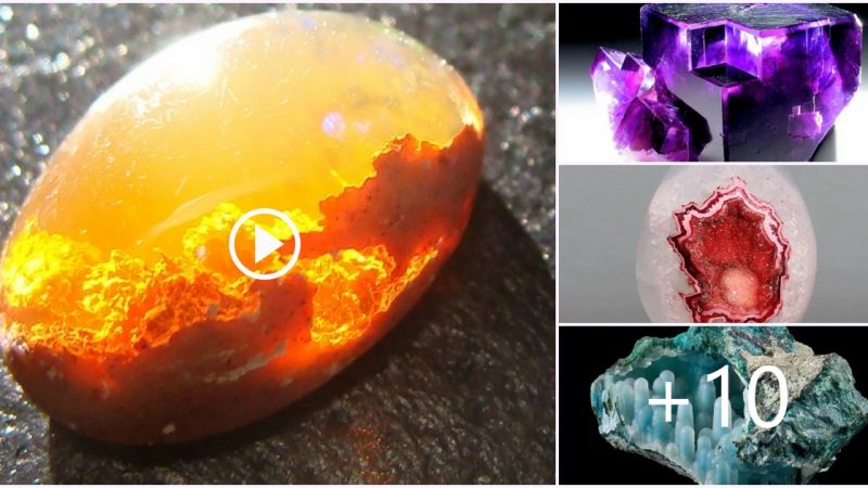 Admire the beauty of brilliant natural ore stones that are super rare on Earth