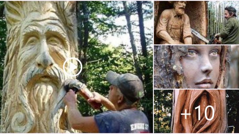 Marvelous Living Tree Trunks: Sculptures That Capture Nature’s Beauty