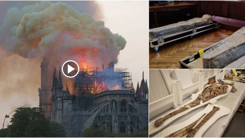 The Notre Dame Cathedral fire disaster exposed the skeleton, which lost the skull under the ashes.