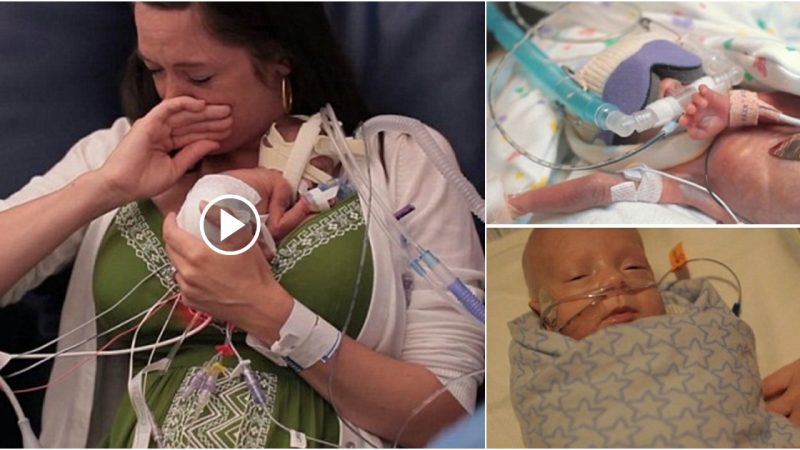 The mother gave birth to a 5.5-month-old baby prematurely, fighting for life and longing to be with her mother.