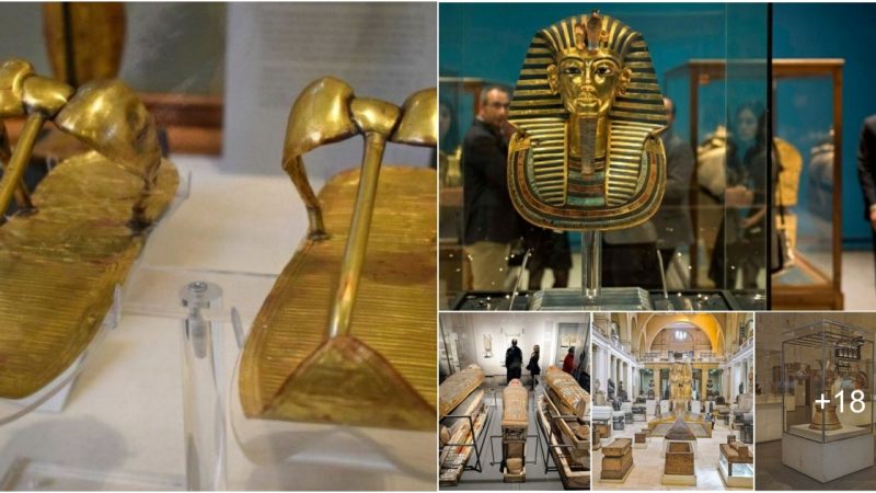 Exploring Ancient Egypt: The Egyptian Museum in Cairo.