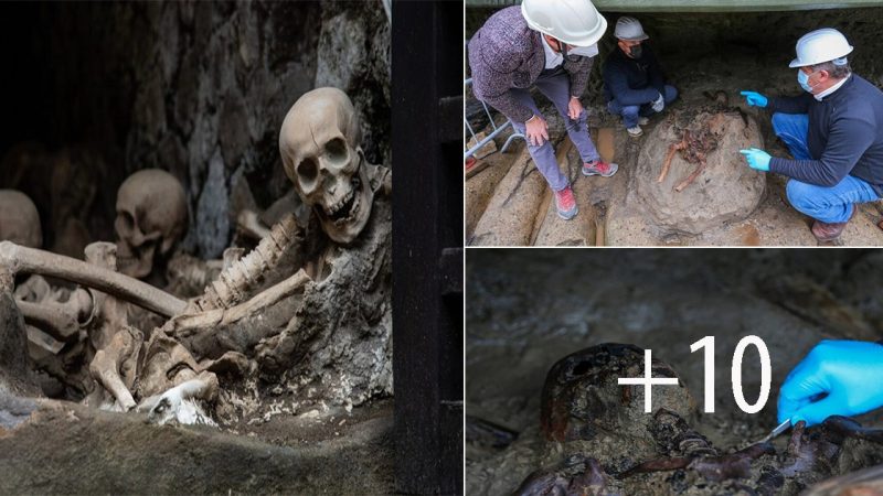 Unveiling the Secrets: Skeleton Unearthed from Ancient Roman Settlement Destroyed by Mount Vesuvius