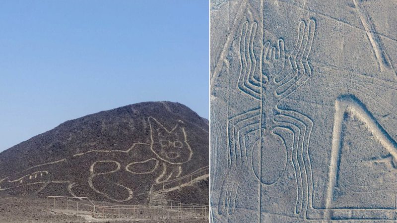 Cartoonish Cat Figure Uncovered by Scientists in Peru Turns Out to Be the Oldest Nazca Line at 2,000 Years