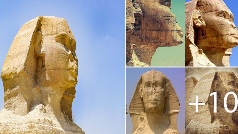 The Enigmatic Sphinx of Giza: Exploring the Mystery of its Interior