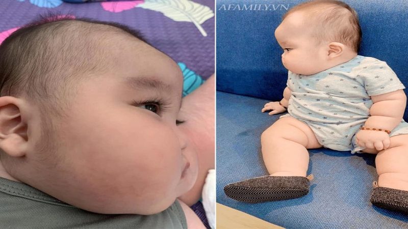 Cute moments of cute baby with chubby cheeks like dumplings