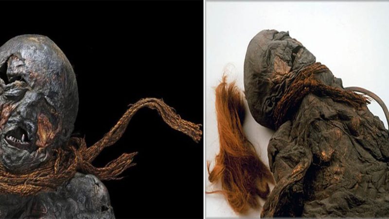 Girl From IDA (Meisje Van Yde): The Well-Preserved Mummy Of A Teenage Girl