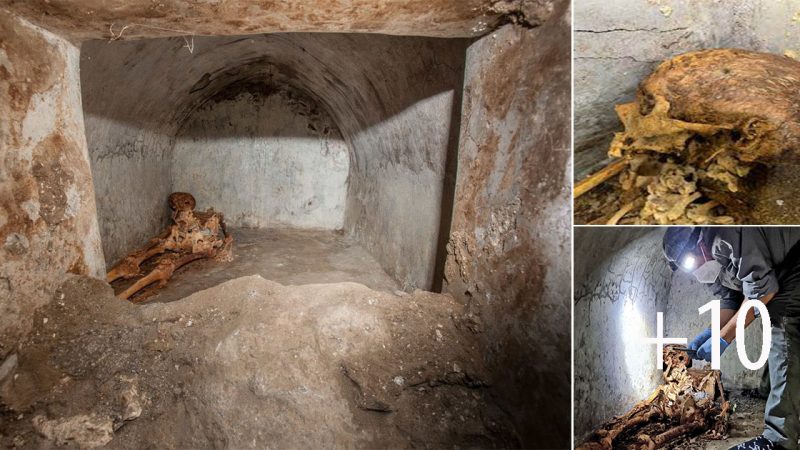 Rare Discovery: Exceptionally Well-Preserved Skeleton of Roman Priest Unearthed in Pompeii