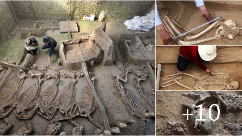 Lost Tribe Unearthed: Ancient Tomb Reveals Clues to Luhun Rong and Eastern Zhou Dynasty