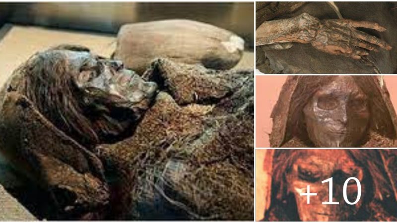 The 3,800-year-old “Loulan Beauty” mummy was discovered in 1980 in the Xiaohe Tomb Complex