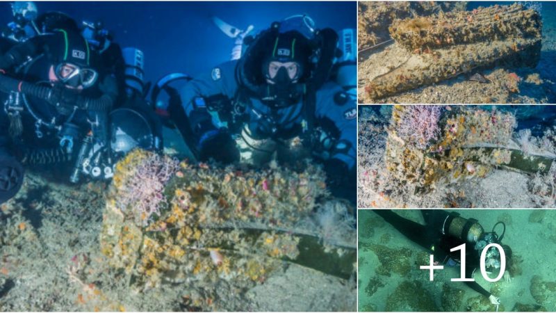 Exploring the Depths: Unveiling Ancient Secrets and Thriving Marine Life in the Aegadian Islands