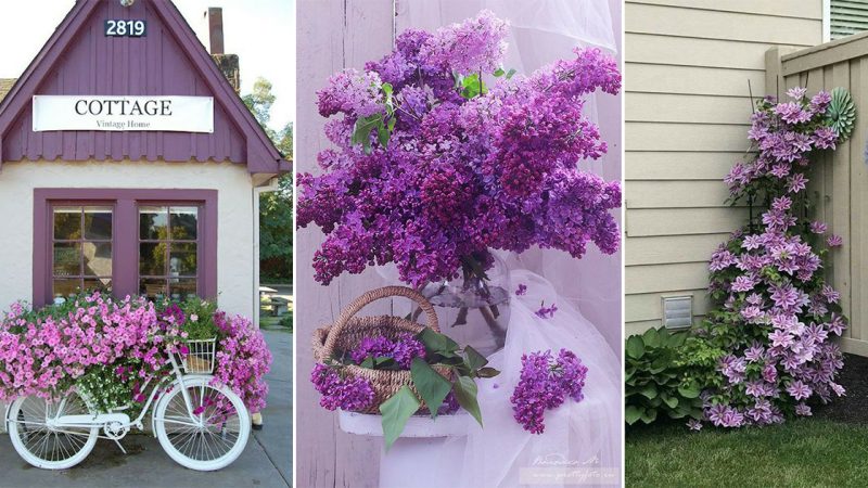 “Enchanting Purple Delights: 22 Extraordinary Garden Decorations for Color Lovers”