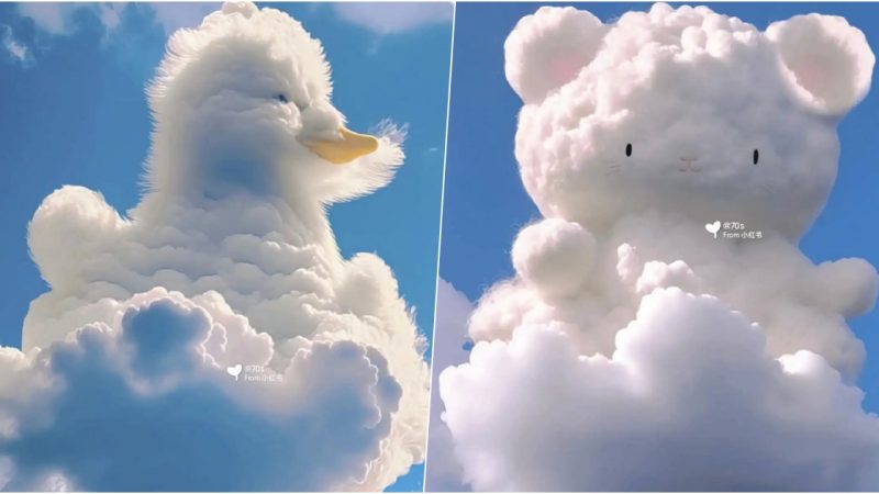 Cute and Fluffy: Discover the Teddy Bear Cloud, a Gigantic and Adorable Cloud with a Charming Grin.