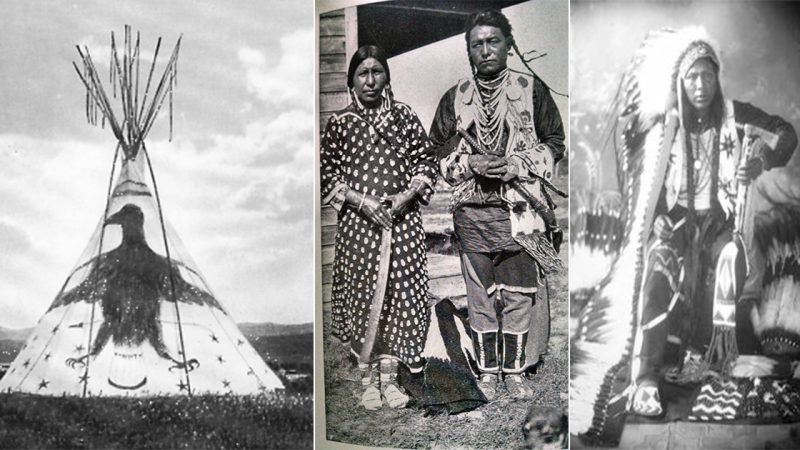 Life of the Crow Native American Tribe (1735-1830)