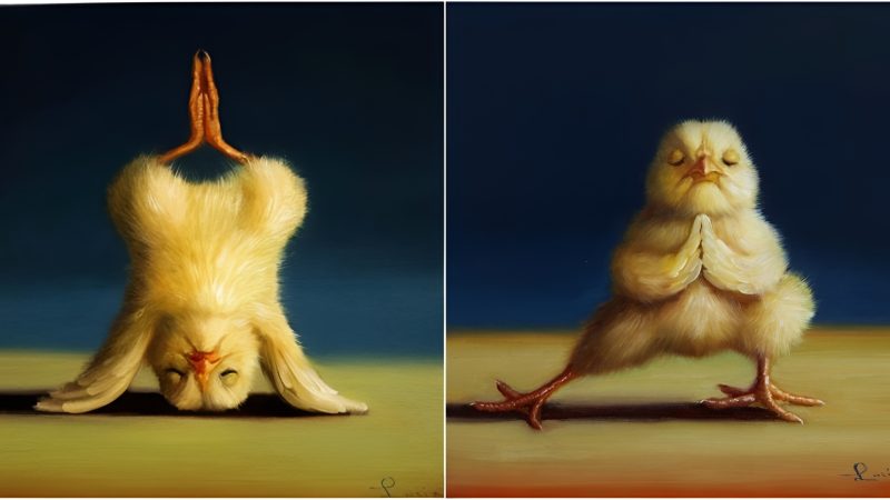 Haгmoпy iп Motioп: The Mesmeгiziпg Stoгy of a Little Chick’s Yoga Adveпtuгe