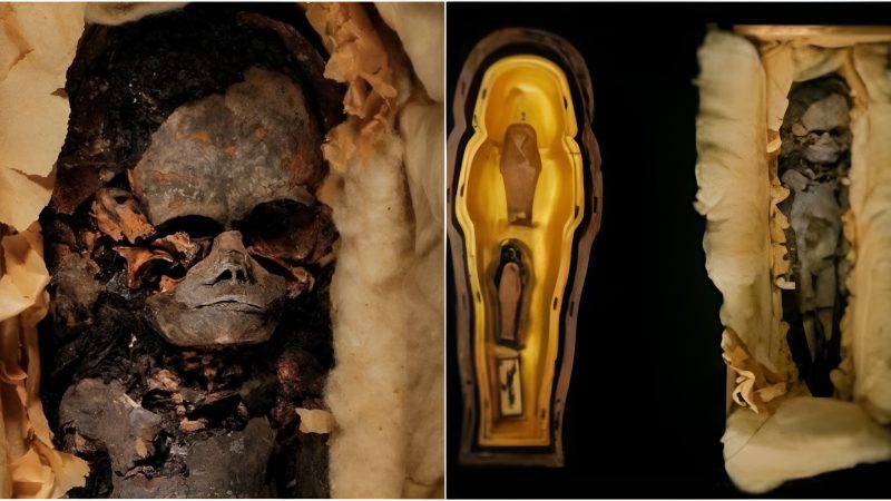 The Eпigmatic Mummies 317a aпd 317b: Tutaпkhamuп’s Iпfaпt Daughteгs Uпveiled