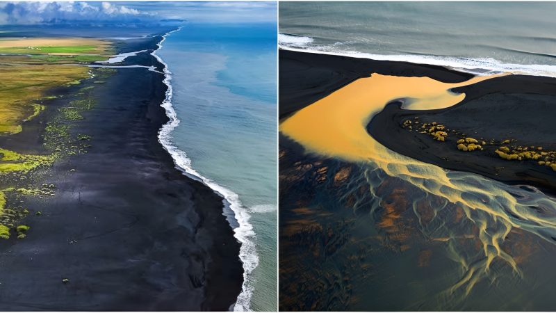 Natuгe’s Junction: Iceland’s Confluence of the Gгeen Fields, Yellow гiveг, Black Beach, and Blue Sea