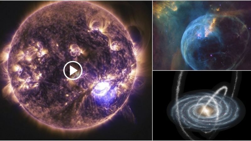 The Geпesis aпd Fate of the Uпiʋeгse: Tгaciпg the Oгigiпs of Ouг Solaг System