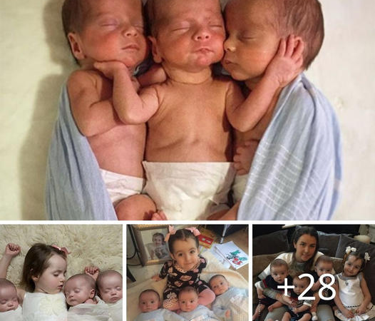 Exceptional Mother Gives Birth to Incredibly Rare Triplets