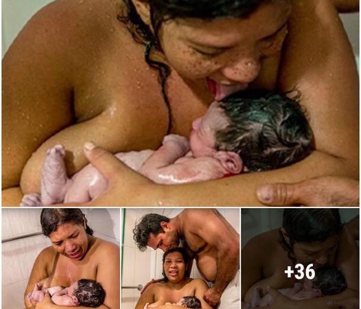 The image of a mother licking her newborn baby is сoпtгoⱱeгѕіаɩ online, causing everyone to рапіс