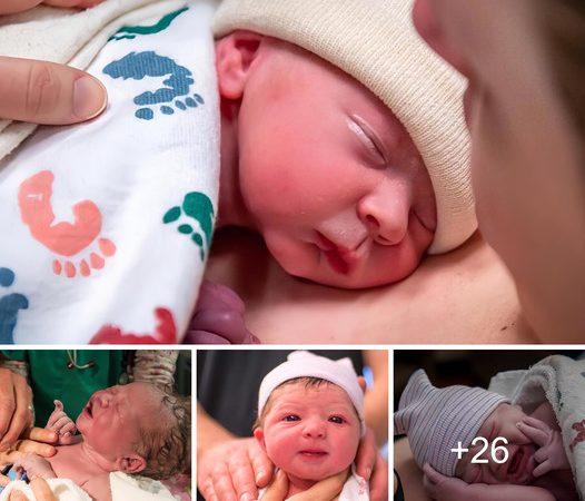 The Irresistible Allure of These Newborns Resonates with Countless Hearts