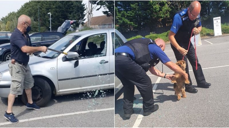 Man Saves Dog’s Life by Using an Axe to Rescue it from a Hot Car