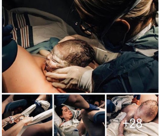 Capturing the Essence of Birth: Intimate and Breathtaking Photographs Celebrate the Miracle of Life