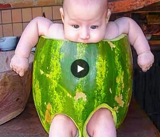 Distracting and Amusing Baby Facial Expressions Will Catch Your Attention.