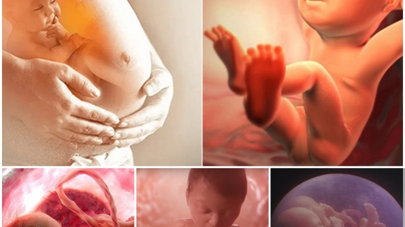 7 Amazing Things Babies Do In The Womb