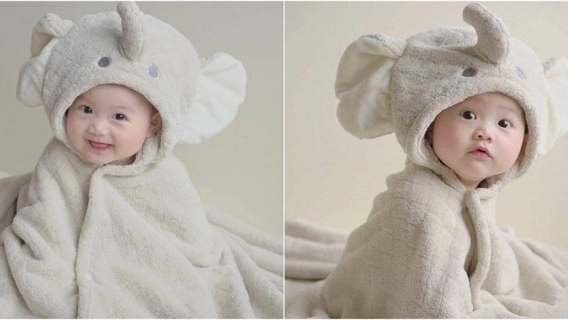 Adorable Baby Elephant Costume Wins Hearts with Unmatched Cuteness