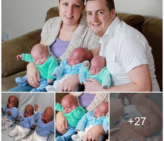 Triumph of Tenacity: Premature Triplets Defy Odds and Thrive