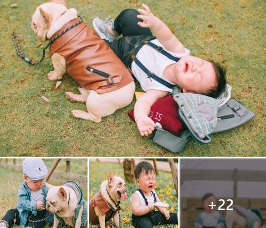 Irresistible Pair Captivates the Online World: Endearing Snaps of a Boy and His Adorable Chubby Canine Sweep the Internet